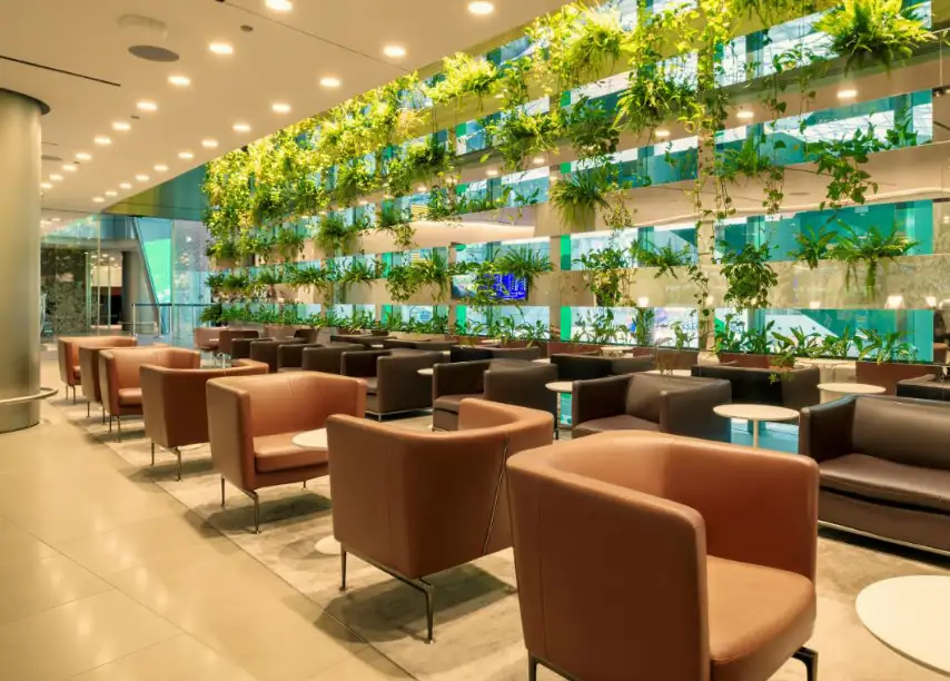 Photos of service Meet & Assist (Platinum) in an airport Hamad (DOH)