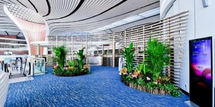 Фотографии услуги CHUM Lounge (внутренний вылет) в аэропорту Пекин Дасин (PKX)