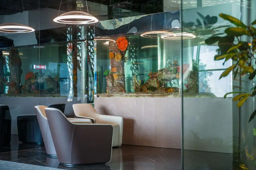 Photos of service VIP Lounge in an airport Simferopol (SIP)