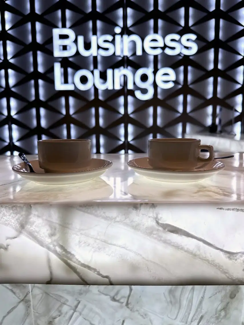 Photos of service VIP Service + Business lounge in an airport Zhukovsky (ZIA)