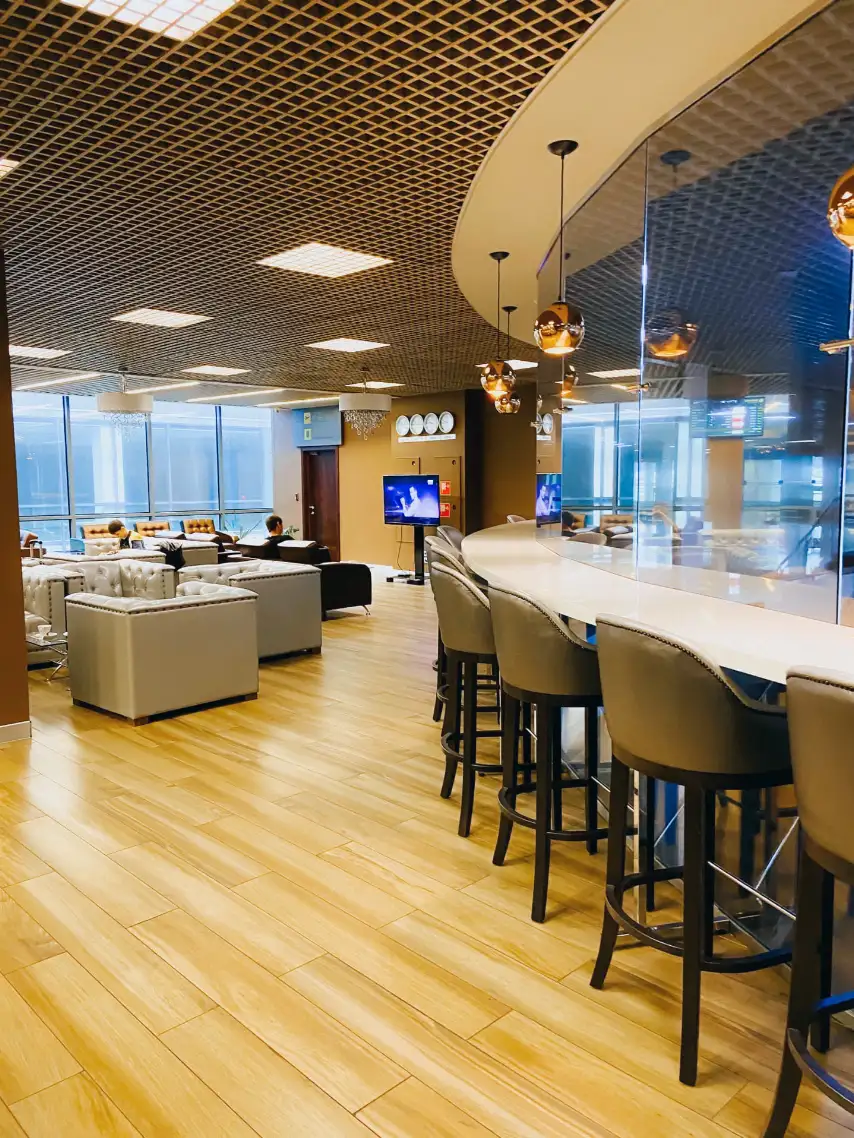 Photos of service VIP Service + Business lounge in an airport Zhukovsky (ZIA)