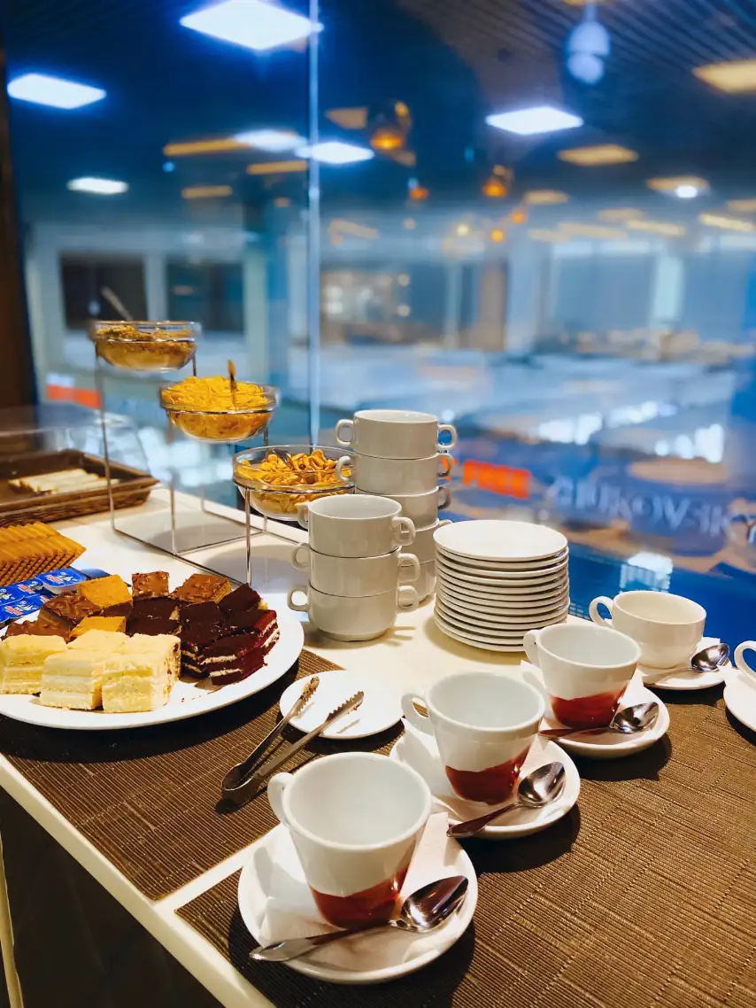 Photos of service VIP Service + Business lounge in an airport Zhukovsky (ZIA)